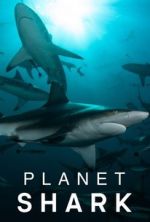 Watch Planet Shark Gomovies
