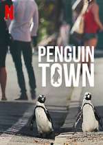 Watch Penguin Town Gomovies