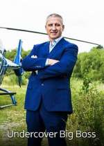 Watch Undercover Big Boss Gomovies