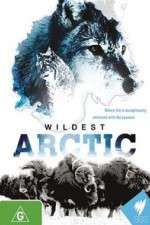 Watch Wildest Arctic Gomovies