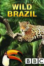 Watch Wild Brazil Gomovies