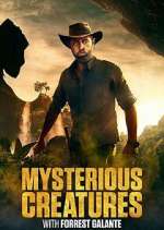 Watch Mysterious Creatures with Forrest Galante Gomovies