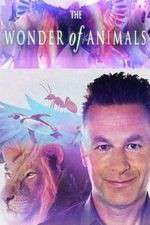 Watch The Wonder of Animals Gomovies