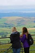 Watch Walks of Life Gomovies