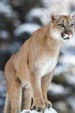 Watch Race of Life Gomovies