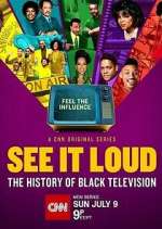 Watch See It Loud: The History of Black Television Gomovies