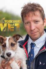 Watch The Yorkshire Vet Gomovies