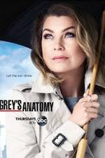 Watch Grey's Anatomy Gomovies