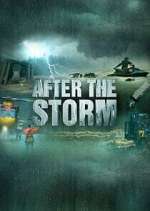 Watch After the Storm Gomovies