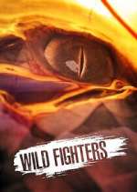 Watch Wild Fighters Gomovies