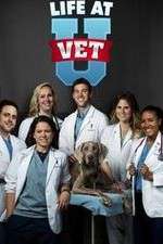 Watch Life at Vet U Gomovies