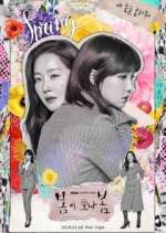 Watch Spring Turns to Spring Gomovies