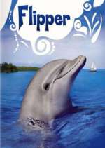 Watch Flipper Gomovies