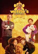 Watch Waffle\'s After School Club Gomovies