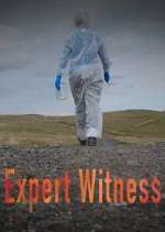 Watch Expert Witness Gomovies