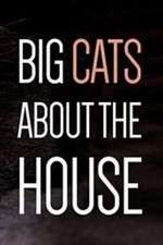 Watch Big Cats About the House Gomovies