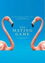Watch The Mating Game Gomovies