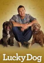 Watch Lucky Dog Gomovies