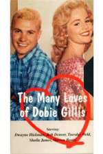 Watch The Many Loves of Dobie Gillis Gomovies