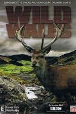 Watch Wild Wales Gomovies