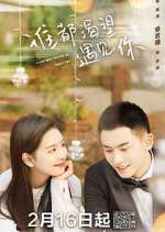 Watch Everyone Wants to Meet You Gomovies