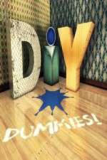 Watch DIY Dummies Gomovies