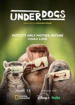 Watch Underdogs Gomovies