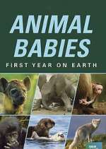 Watch Animal Babies: First Year on Earth Gomovies
