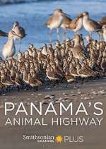 Watch Panama's Animal Highway Gomovies