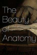 Watch The Beauty of Anatomy Gomovies