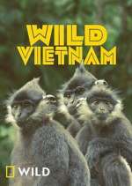 Watch Wild Vietnam Gomovies