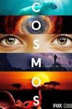 Watch Cosmos A SpaceTime Odyssey Gomovies