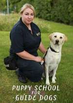Watch Puppy School for Guide Dogs Gomovies
