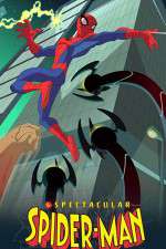 Watch The Spectacular Spider-Man Gomovies