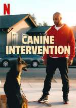 Watch Canine Intervention Gomovies