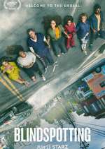 Watch Blindspotting Gomovies