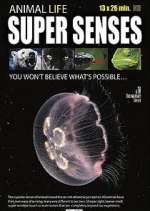 Watch Super Senses Gomovies