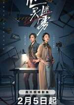 Watch Lies Never Lie Gomovies