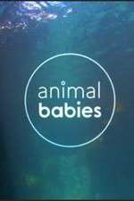 Watch Animal Babies Gomovies
