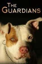 Watch The Guardians Gomovies