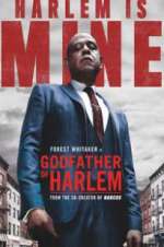 Watch Godfather of Harlem Gomovies