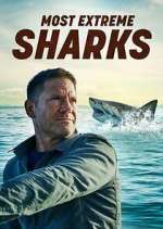 Watch Most Extreme Sharks Gomovies
