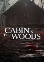 Watch Cabin in the Woods Gomovies