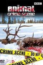 Watch Animal Crime Scene Gomovies