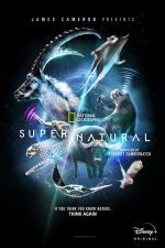 Watch Super/Natural Gomovies