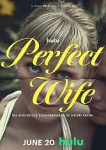 Watch Perfect Wife: The Mysterious Disappearance of Sherri Papini Gomovies