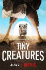 Watch Tiny Creatures Gomovies