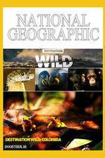 Watch Destination Wild: Colombia Gomovies