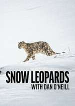 Watch Snow Leopards with Dan O\'Neill Gomovies