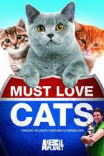 Watch Must Love Cats Gomovies